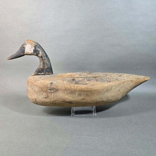 Capt John Smith – Canada Goose – 2026