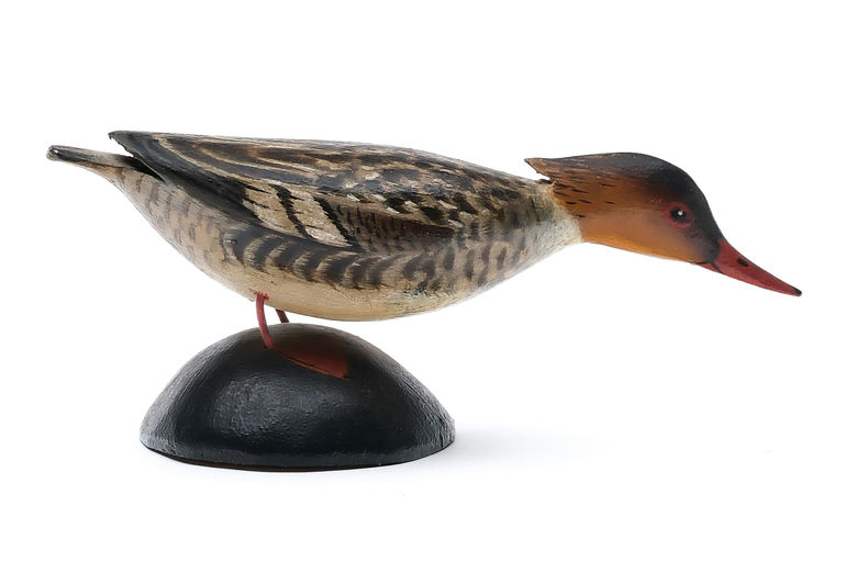 Elmer Crowell – Miniature Merganser Hen – 2025