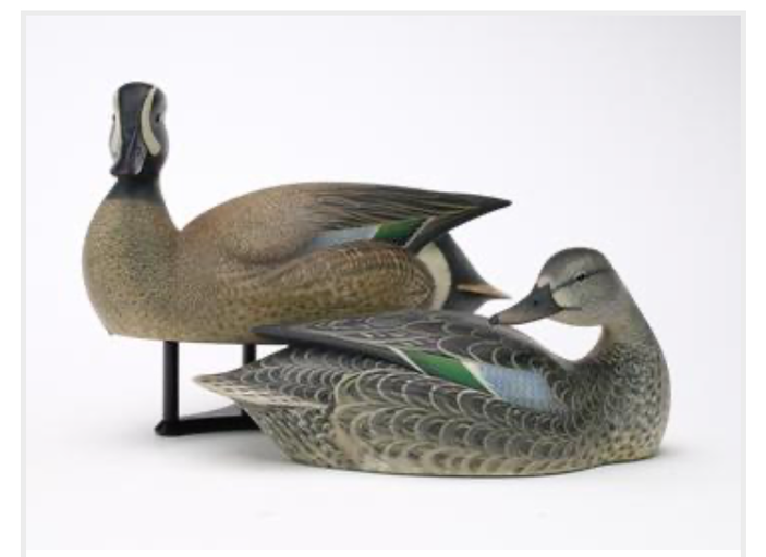 Marty Hanson – Blue-winged Teal