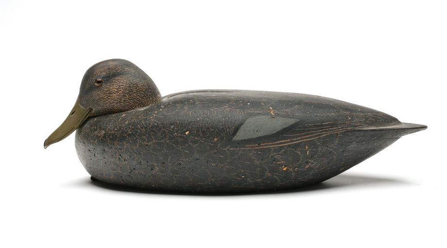 Louis Rathmell – Black Duck – 2026