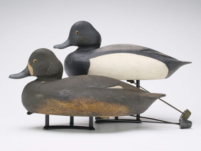 Ken Anger – Scaup – 2024