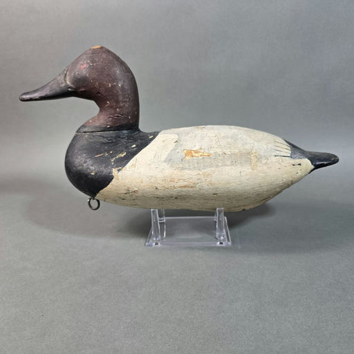 William Heverin – Canvasback – 2026