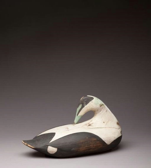 Gus Wilson – Preening Eider Drake – 2013
