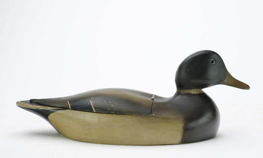Wildfowler Decoy Company – Mallard – 2025