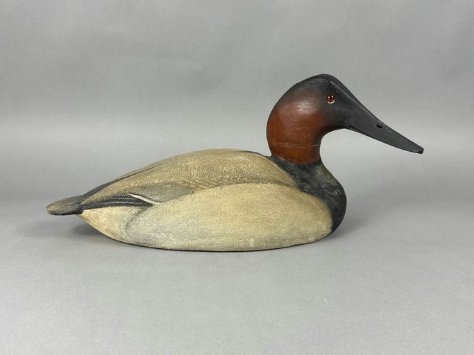 Ward Brothers – Canvasback – 2026
