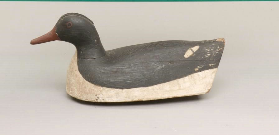 Verity Family – Merganser Hen – 2009