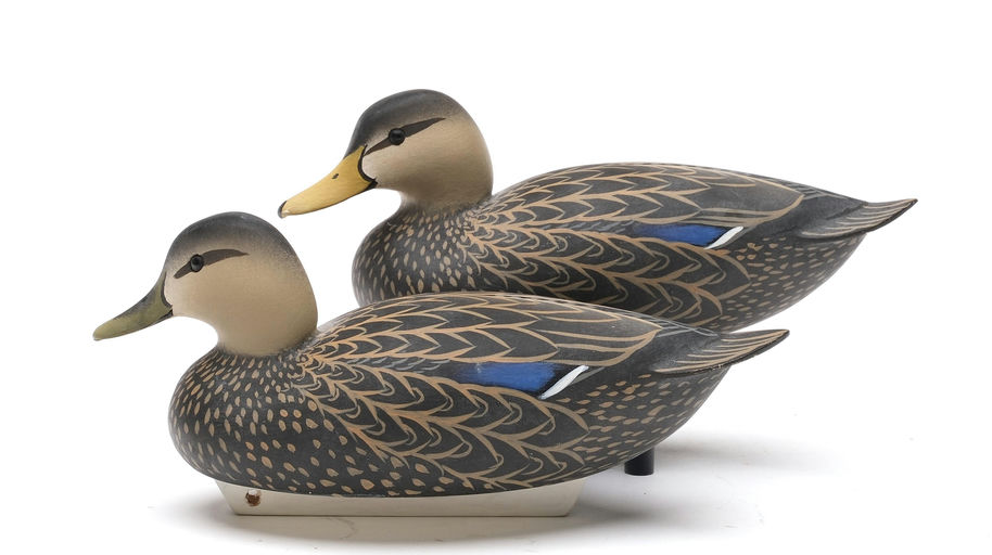 Oliver Lawson – Pair of Black Duck – 2026