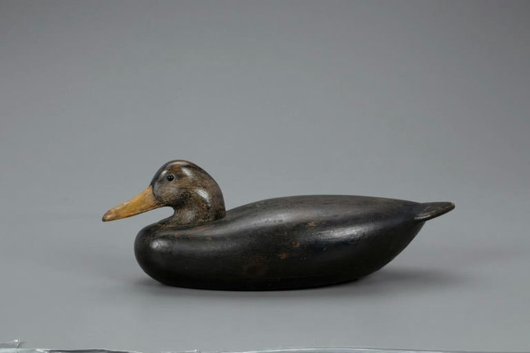 Benjamin Holmes – Black Duck – 2021