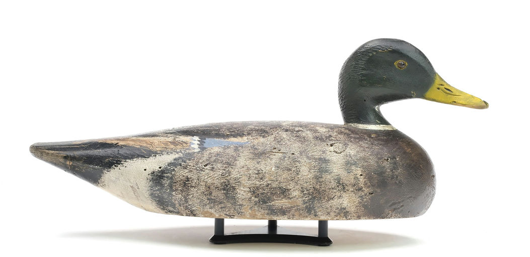 Elmer Crowell – Mallard – 2025