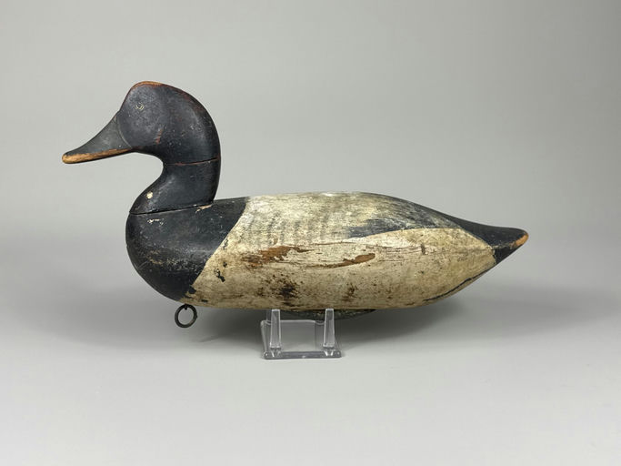 Holly Family – Scaup – 2026