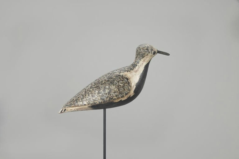 Daniel Lake Leeds – Black-Bellied Plover – 2023