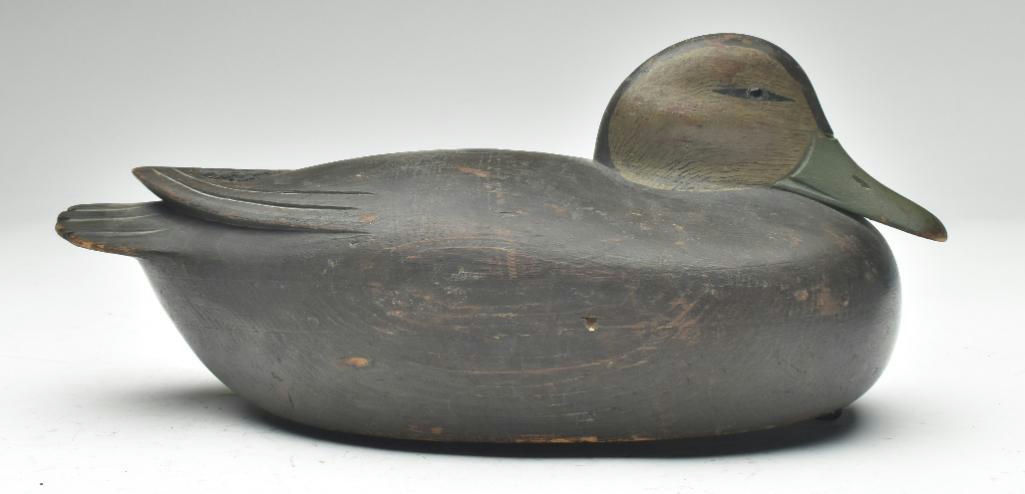 Jess Heisler – Black Duck – 2023