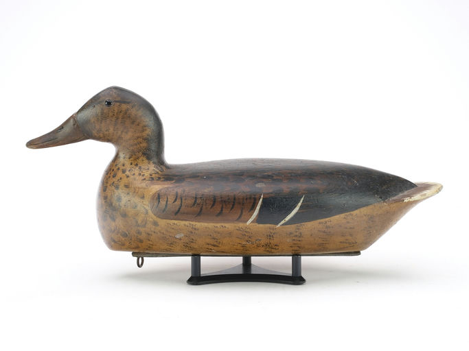 Bert Graves – Mallard – 2024