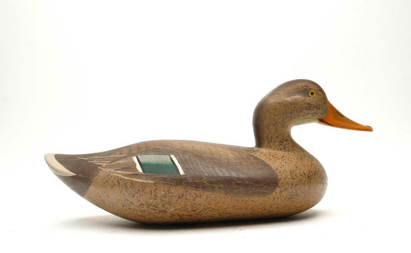 R. Madison Mitchell – Mallard Hen – 2026