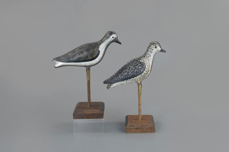 Strater and Sohier – Two Tin Golden Plovers – 2025