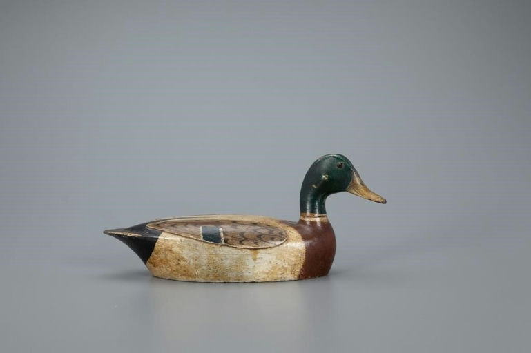 Charles Walker – Mallard Drake – 2020