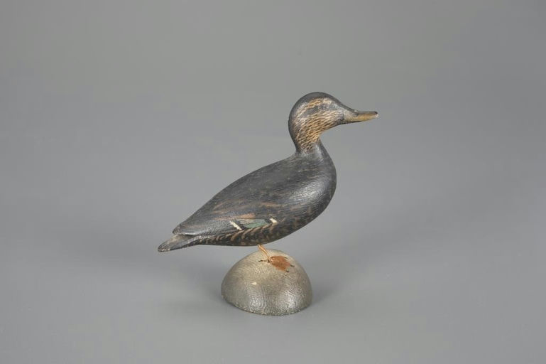Elmer Crowell – Exceptional Miniature Black Duck – 2024