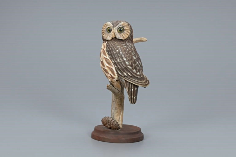Davison B. Hawthorne – Saw-Whet Owl – 2019