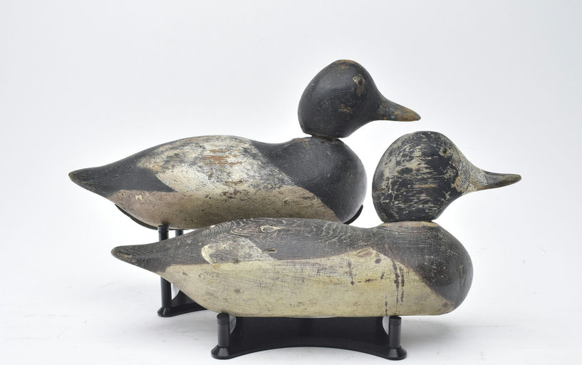 Mason Decoy Factory – Pair of Bluebills – 2025