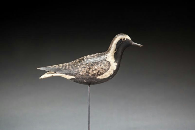 Lothrop Holmes – The Mccleery-holmes Plover – 2016