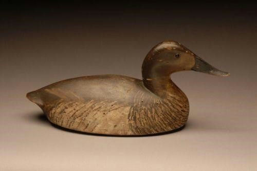 John R. Wells – Hollow Canvasback Hen – 2007