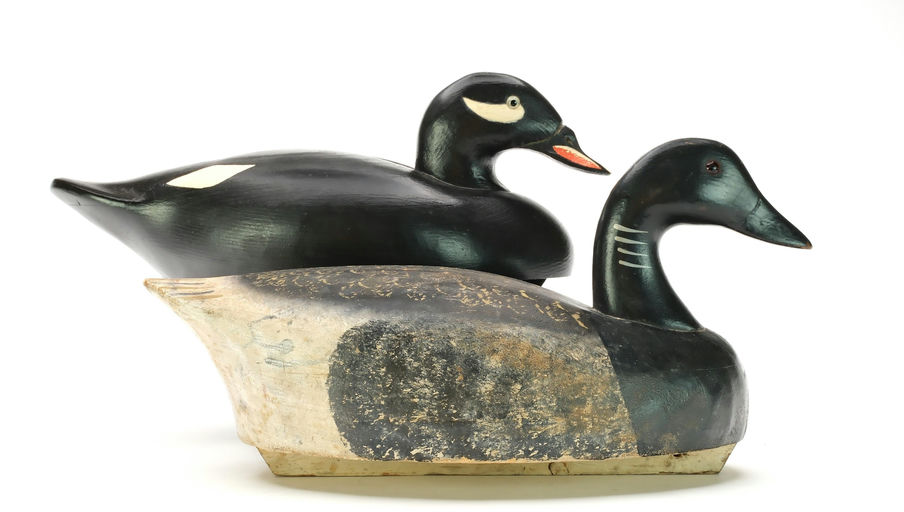 Wildfowler Decoy Company – Scoter – 2025