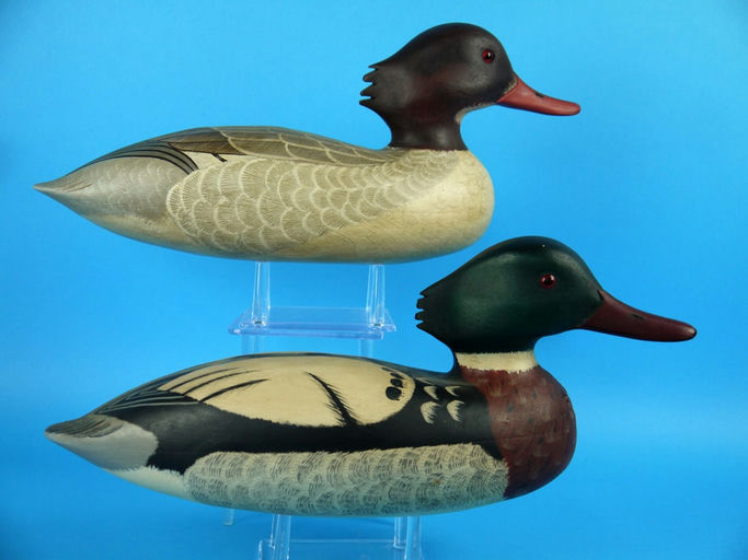 Art Birdsall – Red-breasted Merganser Pair – 2026