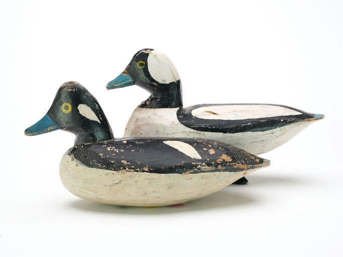 Doug Jester – Bufflehead – 2025
