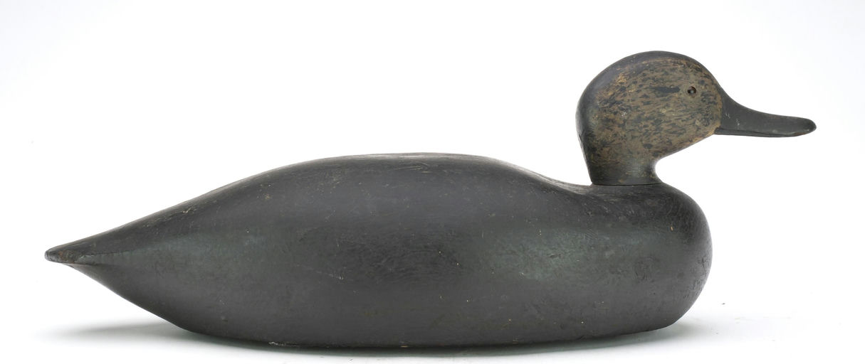 Keyes Chadwick – Black Duck – 2024