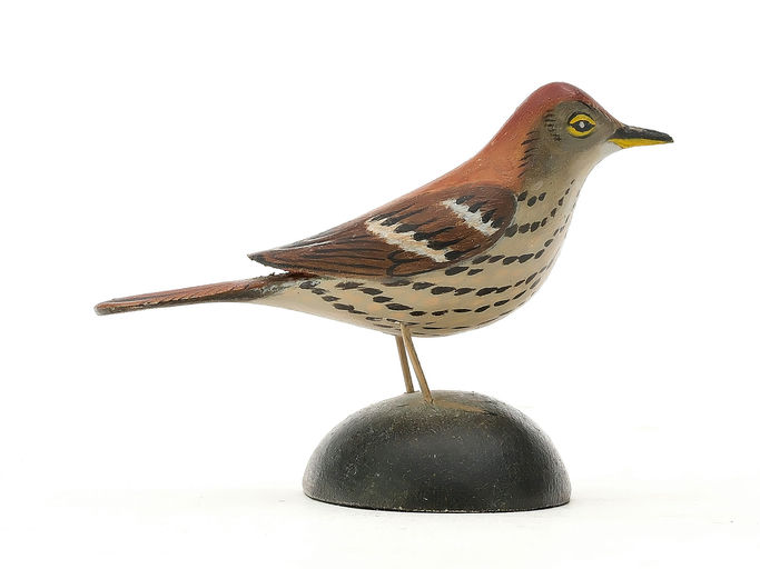 Elmer Crowell – Miniature Thrush – 2025