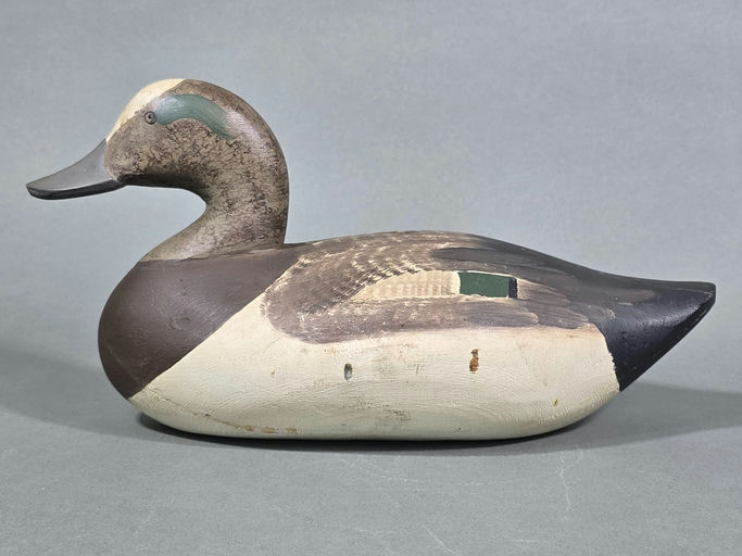 Paul Gibson – Wigeon – 2026