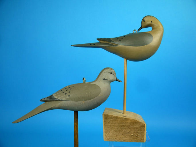Harry V. Shourds – Two Mourning Doves – 2026