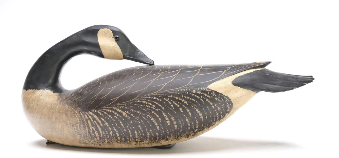 Bob White – Preening Canada Goose – 2026
