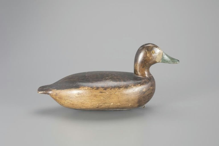 William Lohrman – Bluebill Hen – 2024