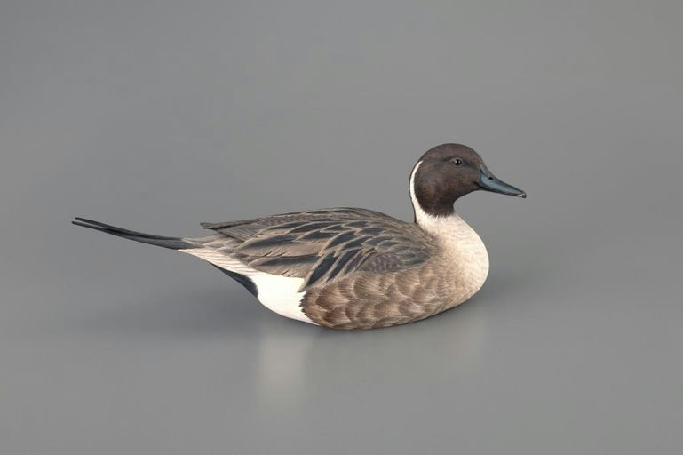 Ma Hai Feng – Pintail Drake – 2025