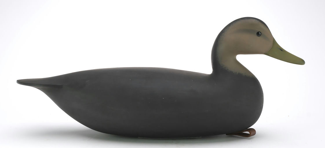 Jamie Hand – Black Duck – 2024