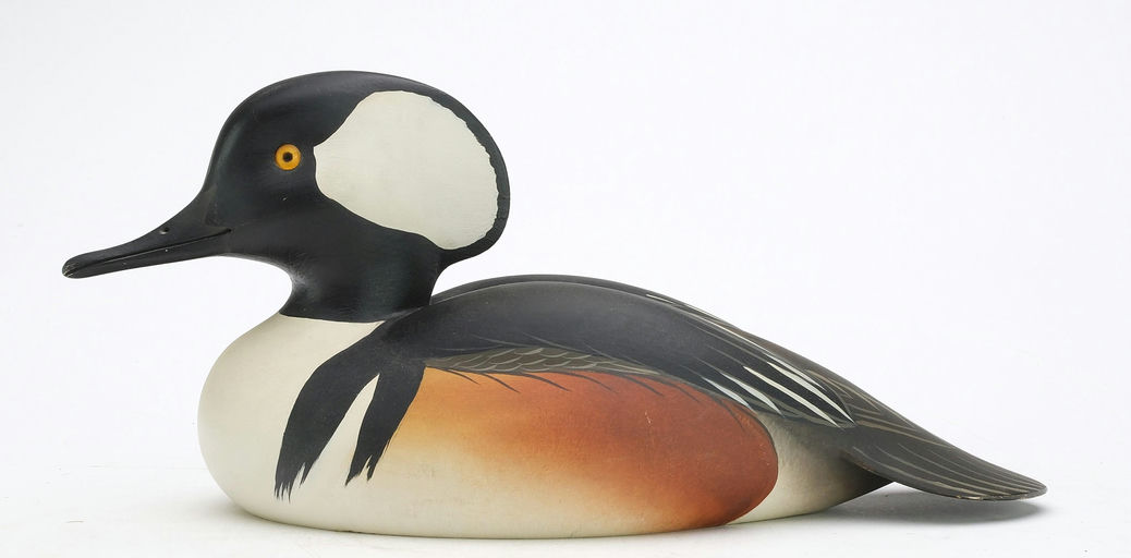 Oliver Lawson – Hooded Merganser – 2024
