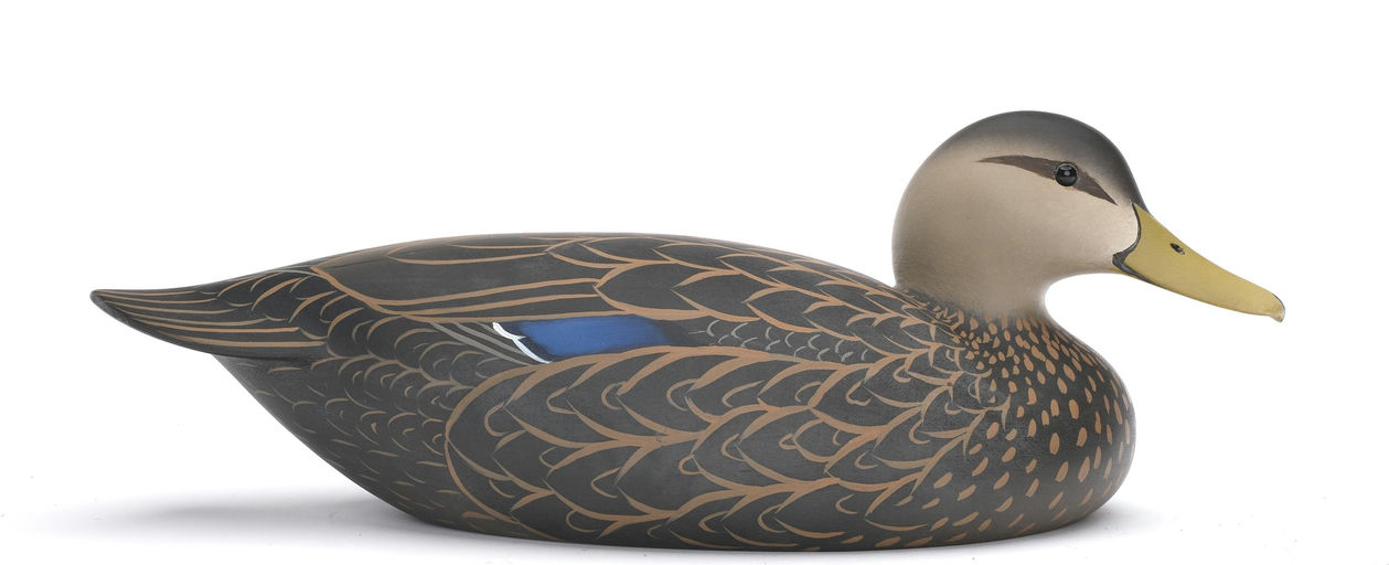Oliver Lawson – Black Duck – 2026