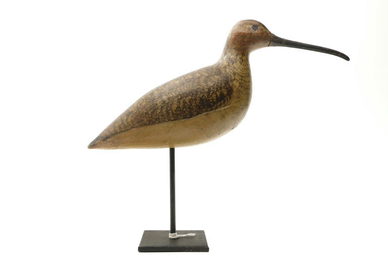 Harry V. Shourds – Curlew – 2026