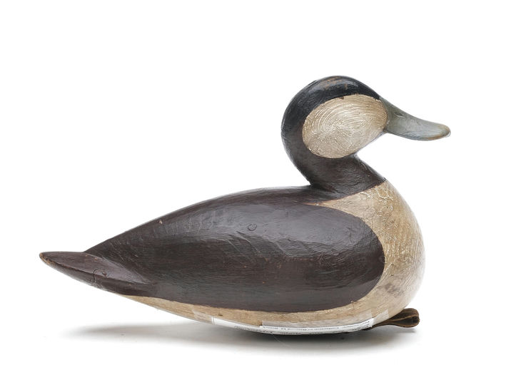 Mark McNair – Ruddy Duck – 2026