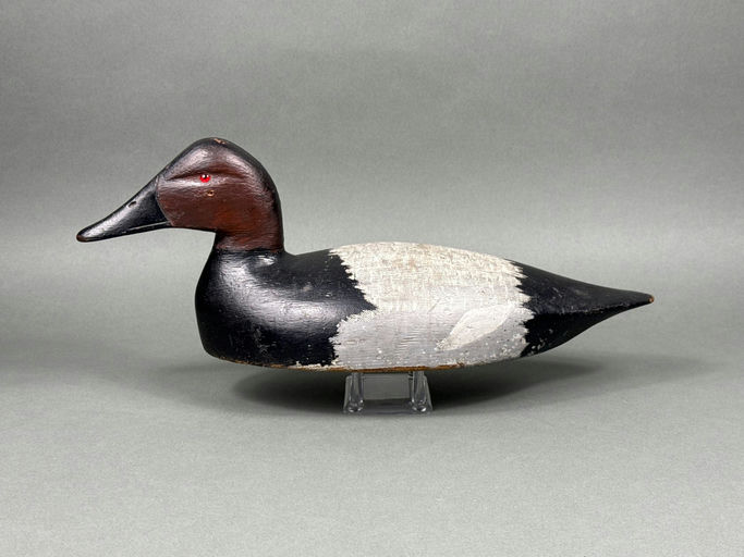 Sam Denny – Canvasback – 2026