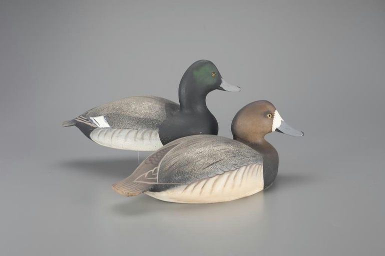 Ward Brothers – Bluebill Pair – 2024