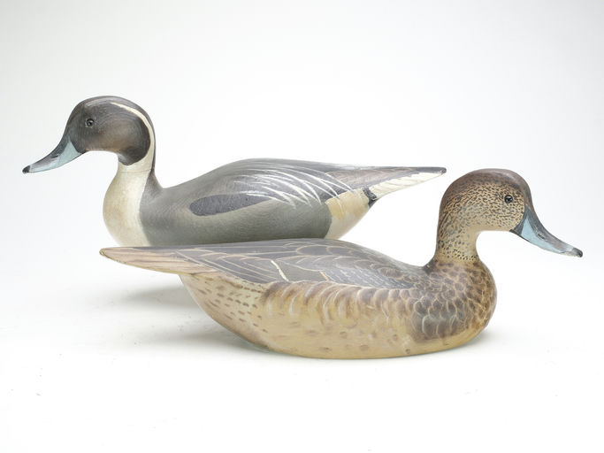 Ward Brothers – Pair of pintails – 2023
