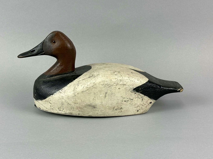 Frank Strey – Canvasback Duck – 2026