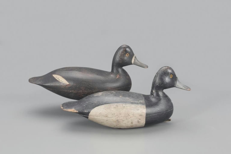 Harry Mitchell Shourds – Bluebill Pair – 2022