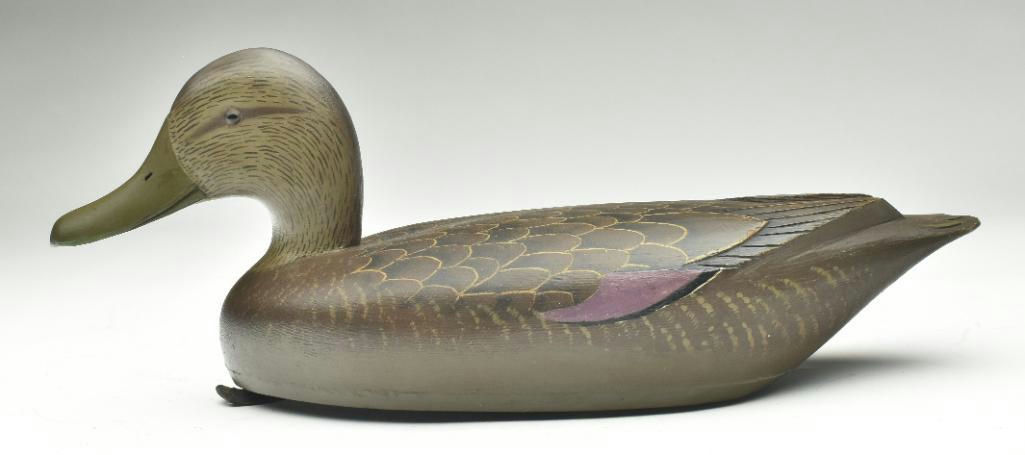 David W. Nichol – Black Duck – 2023