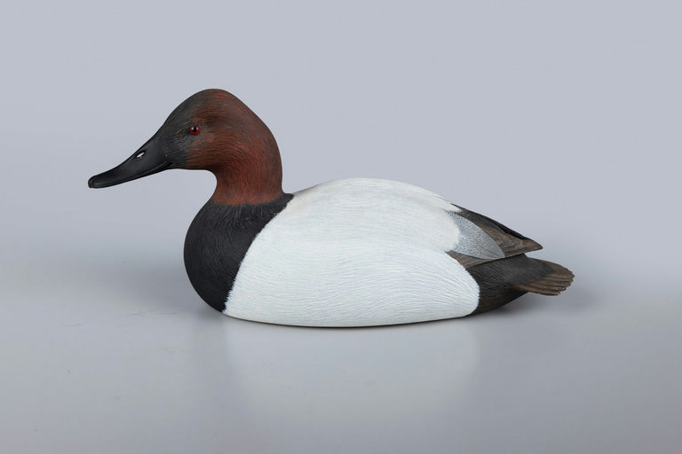 Harold Haertel – Canvasback – 2026