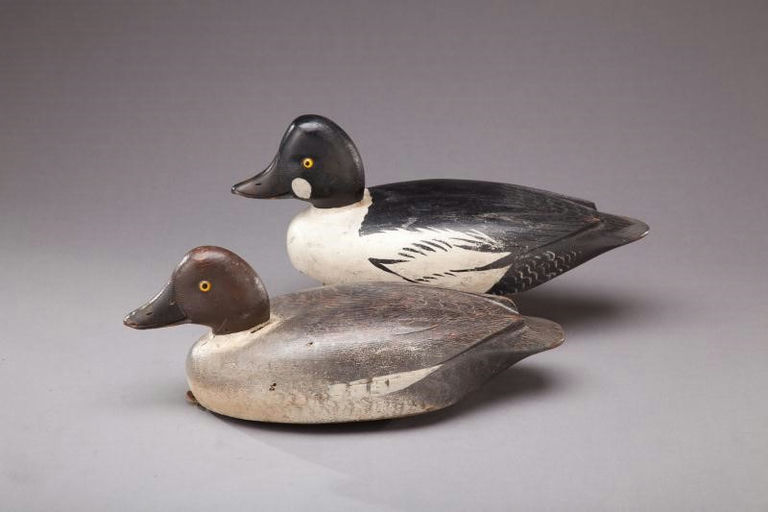 David W. Nichol – Goldeneye Pair – 2012