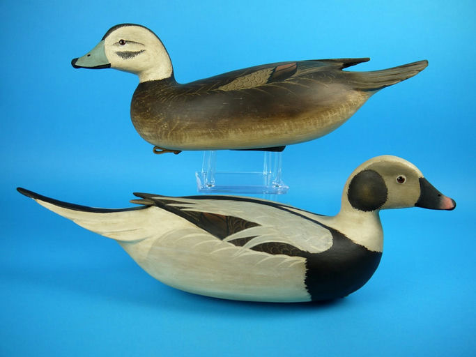 Bob White – Long-Tailed Pair – 2026