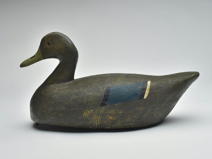 Frank Strey – Black Duck – 2023